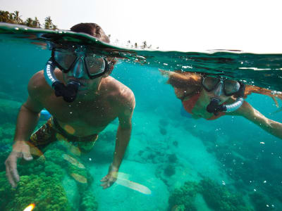 Excursión de Snorkel en São Miguel, Azores