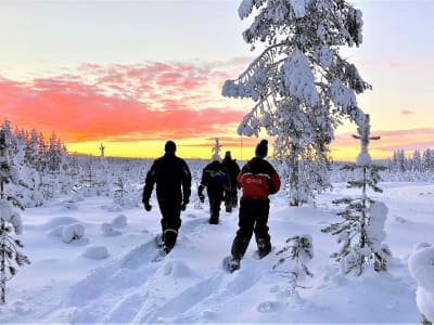 Schneeschuhwanderung von Rovaniemi aus