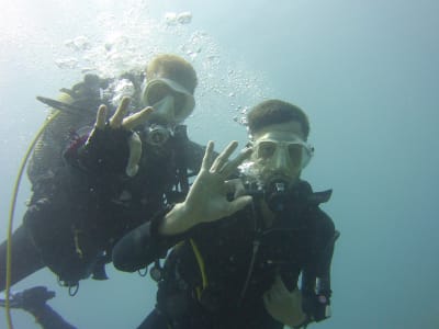 Bautismo de buceo en las playas de Arguineguin y Puerto Rico, Gran Canaria