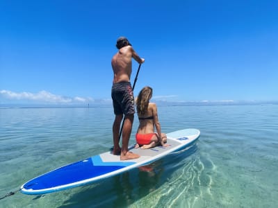 Stand-up Paddle Rental in La Saline-les-Bains, Reunion Island