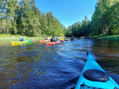 Guided Sea Kayaking Excursion in the Oulu Delta from Nallikari