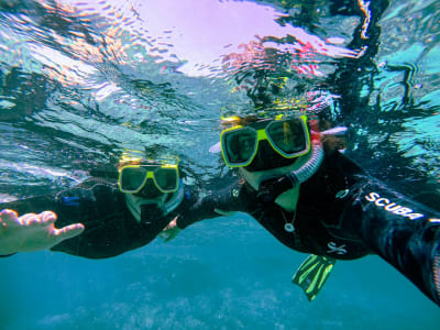 Guided Snorkelling in the Montgrí Nature Park near Girona, Costa Brava