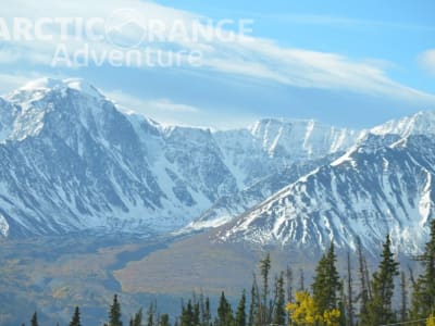 Guided sightseeing tour and hike in Kluane National Park, Yukon