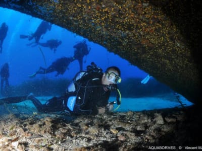 Plongée exploration à Port-Cros au départ de Bormes-les-Mimosas