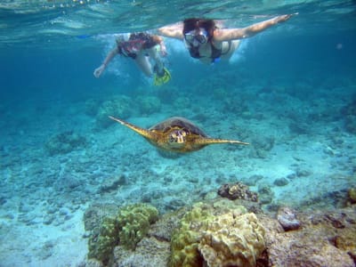 Snorkelling Excursion from Tsilivi in Zakynthos