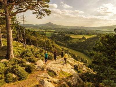 Excursion d'une journée dans le parc national de Wicklow, Irlande