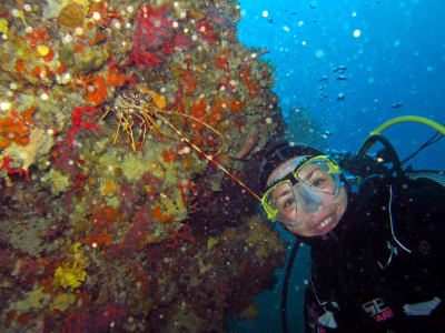 Entdeckung des Tauchens in Nizza