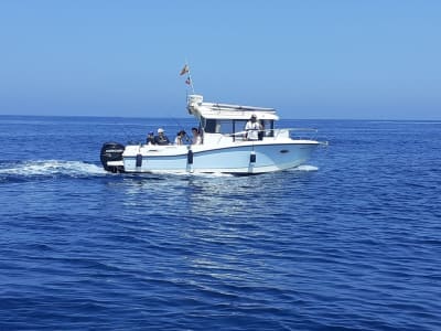 Boat trip along the bay of Cádiz from el Puerto de Santa María