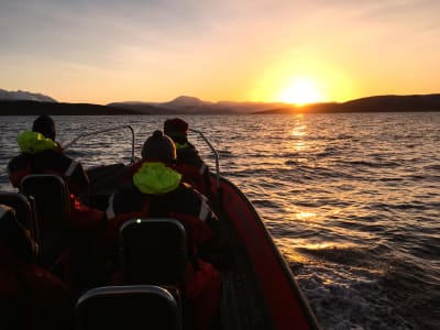 Excursion en bateau au soleil de minuit depuis Skjervøy