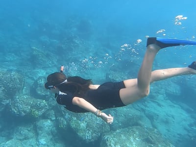 Snorkeling excursion in Cousteau Reserve, Guadeloupe