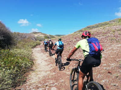 Mountain bike excursion in Sainte-Anne from Saint-François, Guadeloupe