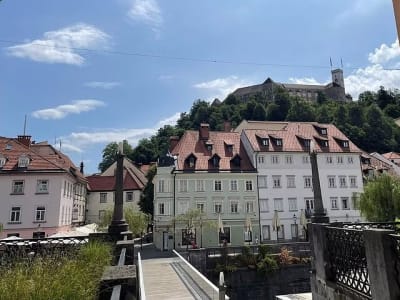 Tagestour zur Höhle von Postojna, zur Burg Predjama und nach Ljubljana ab Zagreb