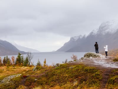 Visite en minibus de l'île de Kvaløya près de Tromsø