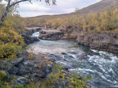 Senderismo en el Parque Nacional de Abisko, cerca de Kiruna