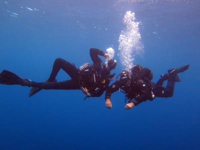 Buceo de exploración en el Parque Marino del Golfo de León, con salida de Argelès-Sur-Mer