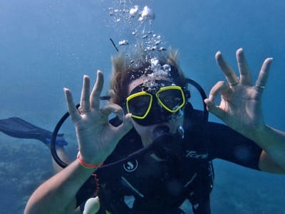 Erster Tauchgang in der Blue Bay, Mauritius