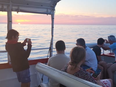 Sea trip in the Scandola reserve from Sagone, Corsica