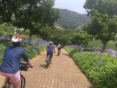 Balade à vélo dans le quartier de Constantia, Le Cap