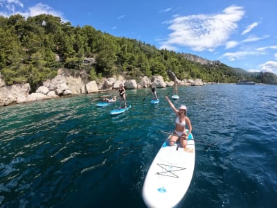 Excursion guidée en SUP autour du parc Marjan à Split