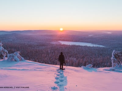 Evening Snowshoe Trek from Ivalo