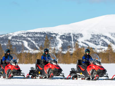 Schneemobil-Safari für Anfänger in Ylläs