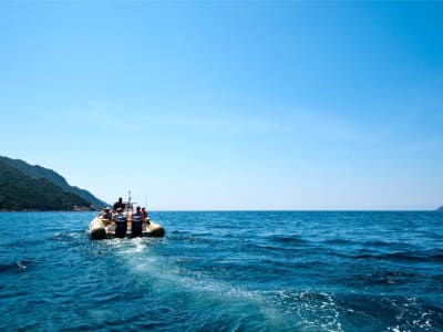 Balade en bateau dans le Golfe de Porto depuis Porto, Corse