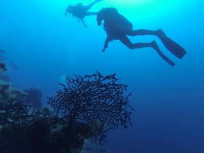 Cours PADI Open Water à Lipari, Îles Éoliennes, Sicile