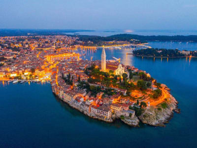 Excursión privada en barco a Rovinj y sus islas con salida desde Fažana, cerca de Pula