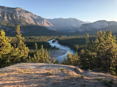 Ultimate wildlife tour around Banff