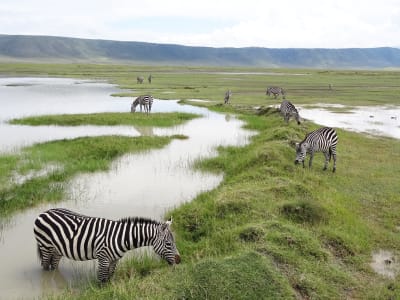 Stage de survie en Tanzanie