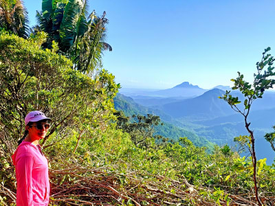 Excursión guiada al Piton de la Petite Rivière Noire en el Parque Nacional de las Gargantas del Río Negro, Mauricio