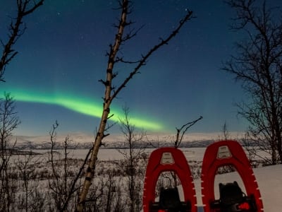 Excursion en raquettes aux aurores boréales dans le parc national d'Abisko