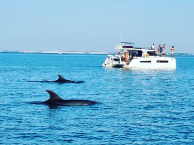 Vuelta en catamarán a la isla de Ré desde Saint-Martin-de-Ré