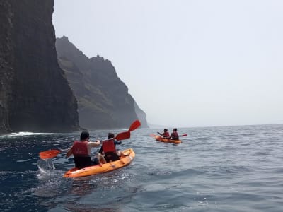 Excursion guidée en kayak depuis Punta de Teno, Los Gigantes, Tenerife