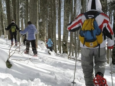 Schneeschuhwanderung in der Schlucht, Vogesen