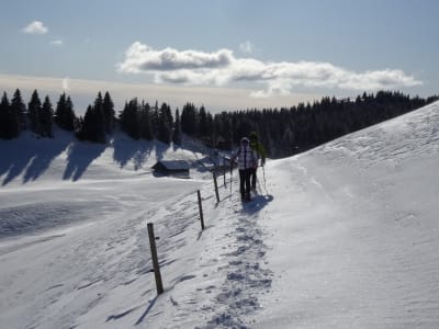 Raquetas de nieve en Saint Jean d'Aulps, Portes du Soleil