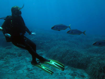 Cours PADI Open Water à Alonissos