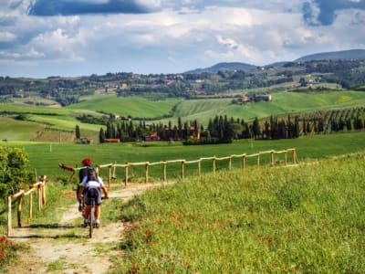 Excursion en E-Bike dans le Chianti, Florence