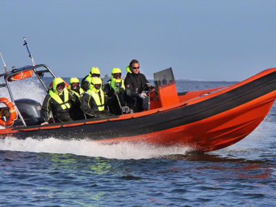 Excursiones en barco semirrígido por Helsinki