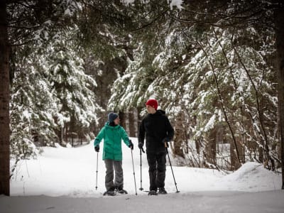 Randonnée en raquettes sur le domaine Saint Bernard, Laurentides