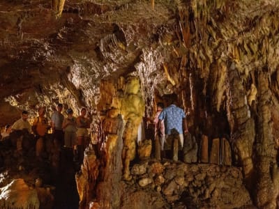 Melissani Lake and Drogarati Cave Sightseeing Tour in Kefalonia