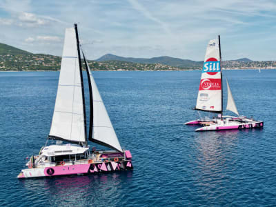 Croisière en catamaran à l'archipel des Glénan dans le Finistère depuis la baie de Concarneau