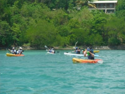 Kajakverleih in der Bucht von Robert, Martinique