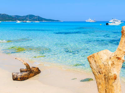 Visita a la playa de Saleccia, en el desierto de Agriates, en taxi-barco desde Saint-Florent