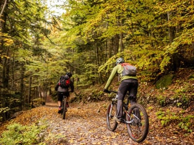 Sporty Electric Mountain Bike Tour on the Balcon Est du Vercors from the Col de l'Arzelier, near Grenoble