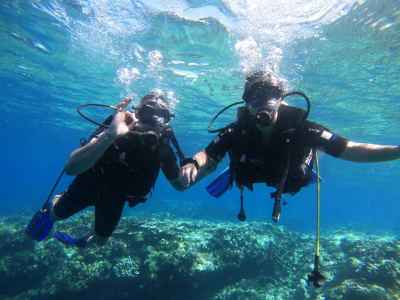 Erster Tauchgang in der Bucht von Saint-Leu auf der Insel La Réunion