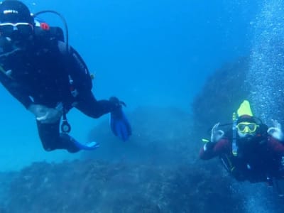 Cours de plongée à l'eau à Arrábida, Lisbonne