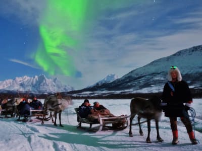 Excursion en traîneau à rennes dans les aurores boréales depuis Tromsø