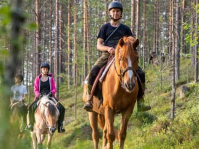 Excursion estivale à cheval à partir de Rovaniemi