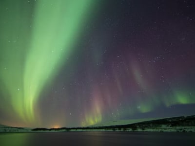 Chasse aux aurores boréales guidée depuis Reykjavík